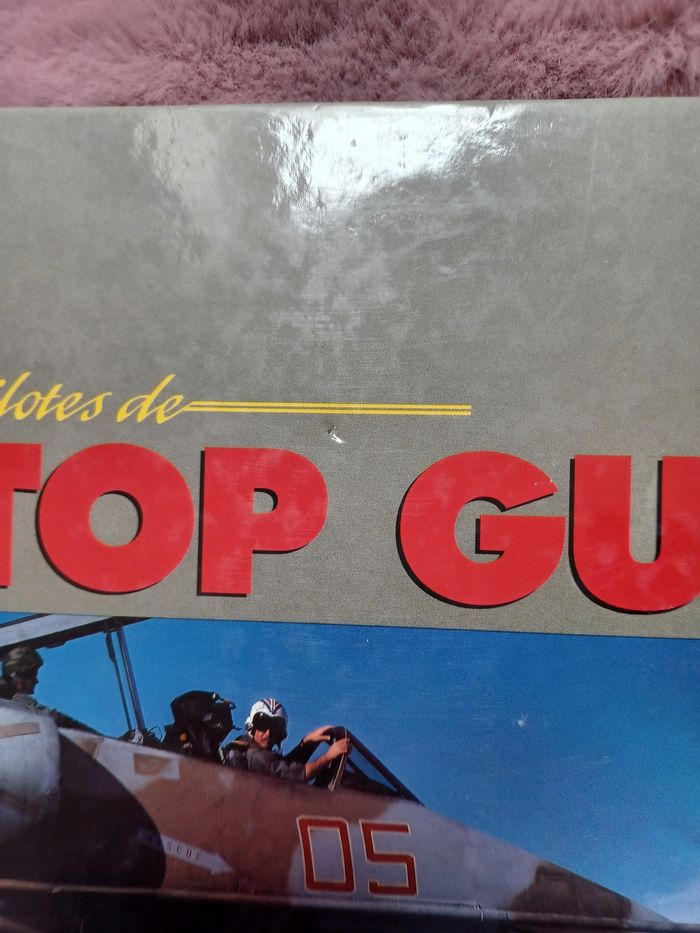 Livre pilotes de top gun - photo numéro 7