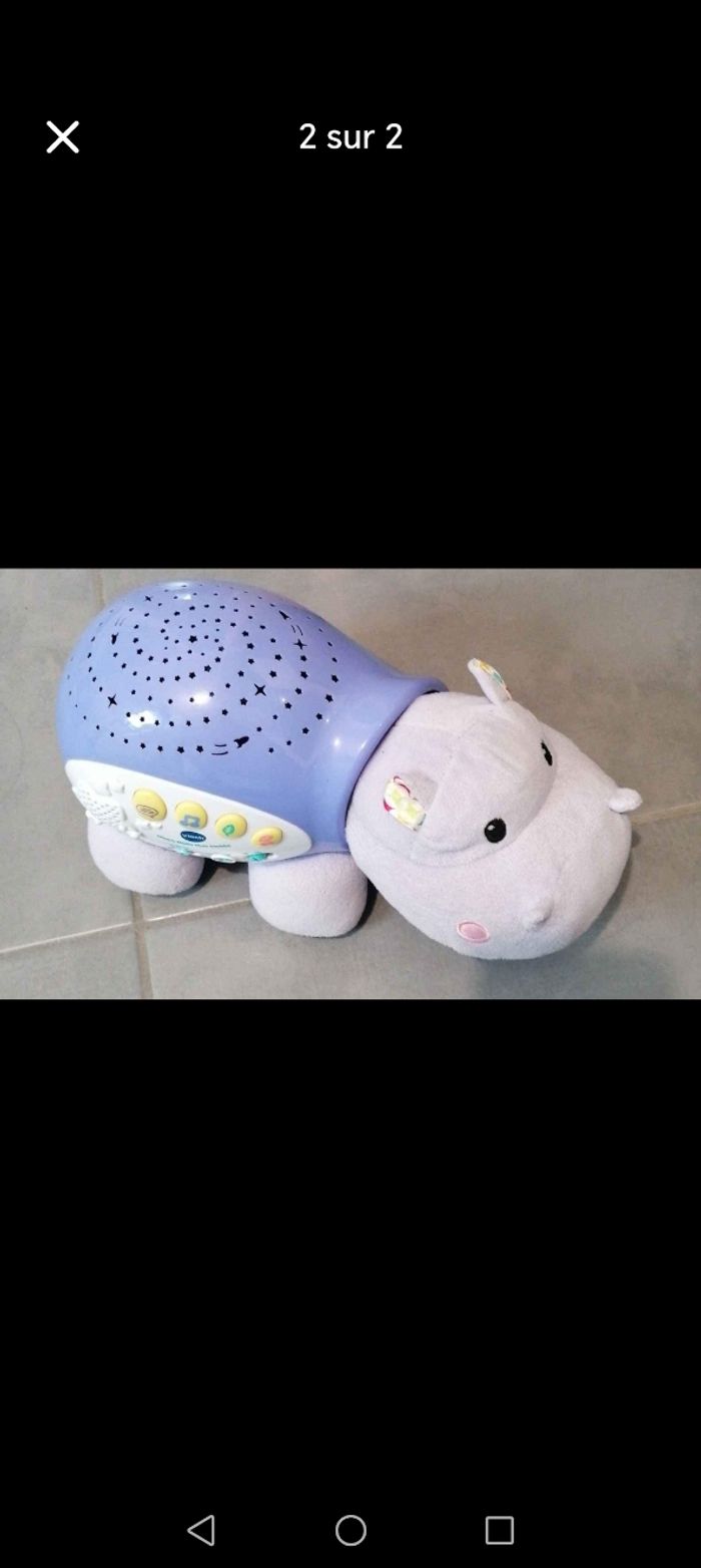 Hippo nuits étoilées - photo numéro 2