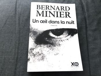 Livre un œil dans la nuit