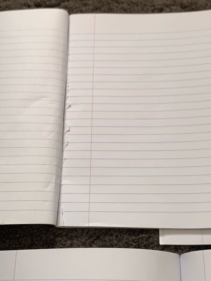 Lot de 3 cahiers - photo numéro 4