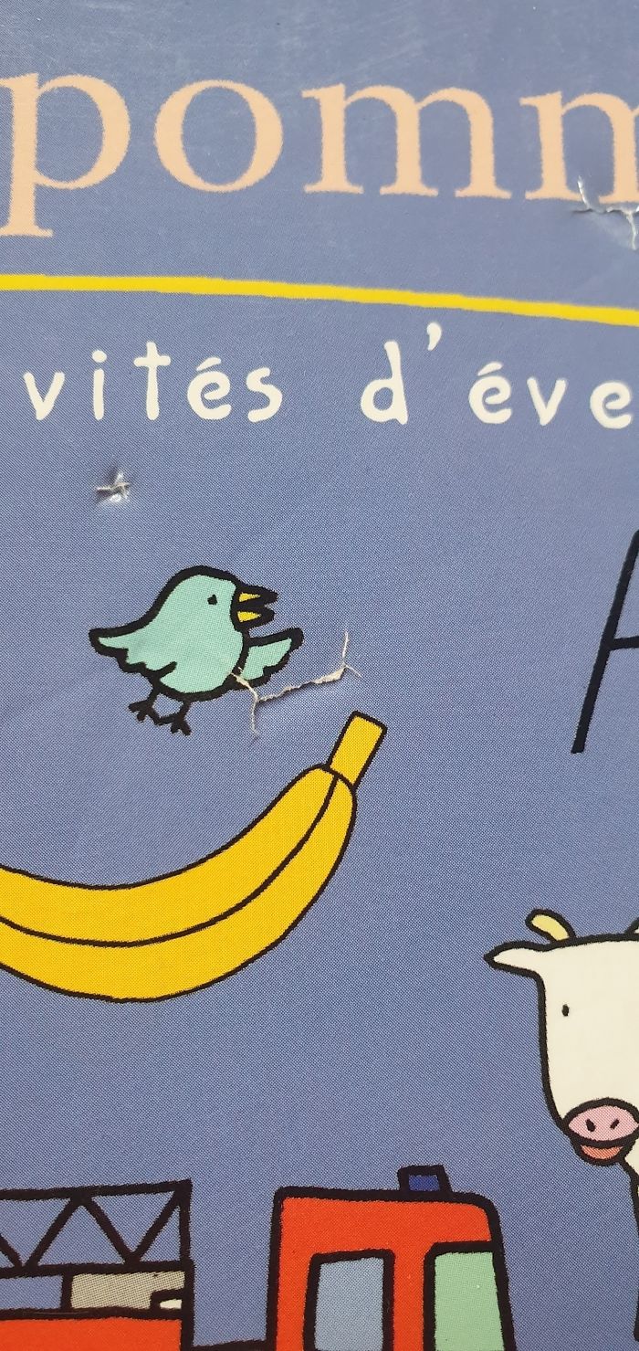 Haut comme 3 pommes - photo numéro 5