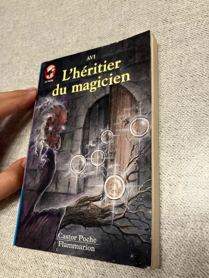 L’Héritier du magicien - AVI