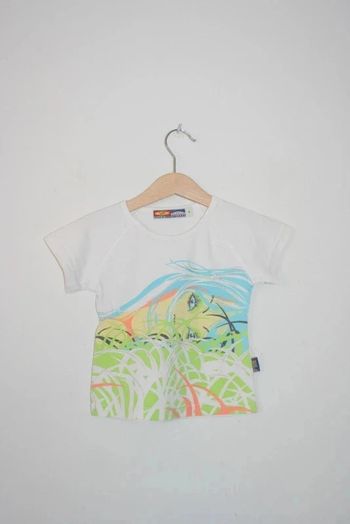 Lot de 2 tee-shirts manches courtes