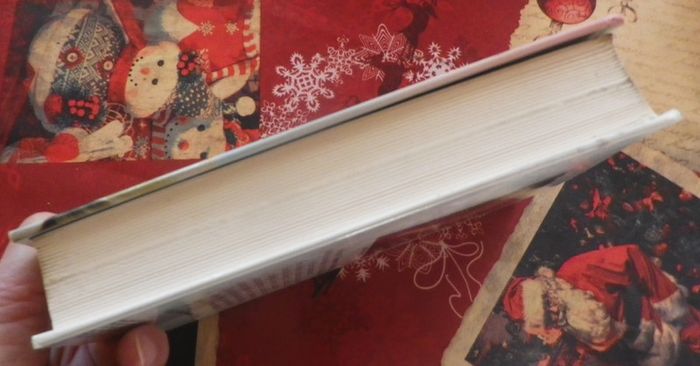 A nous deux, Manhattan de Judith Krantz Ed. France Loisirs - photo numéro 4