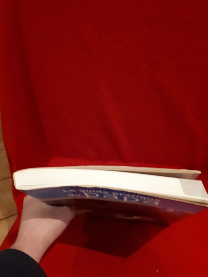 Livre " Le guide pratique du papa " - photo numéro 4