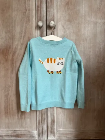 Pull chat t. 6 ans