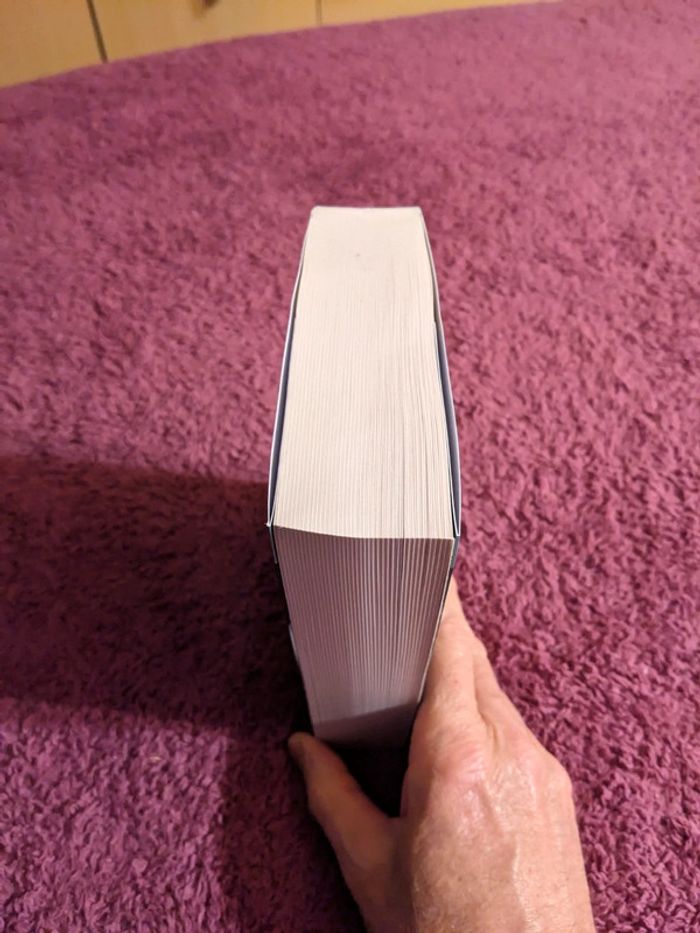 Papillon d'obsidienne de Laurell K. Hamilton - photo numéro 4