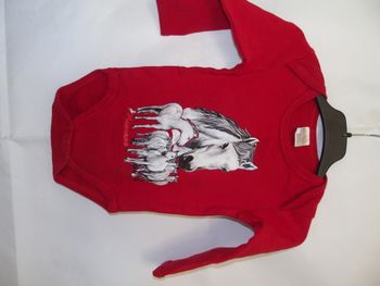 Body cheval Camargue