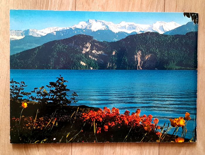 Vierwaldstattersee - Lac des Quatre-Cantons - photo numéro 4