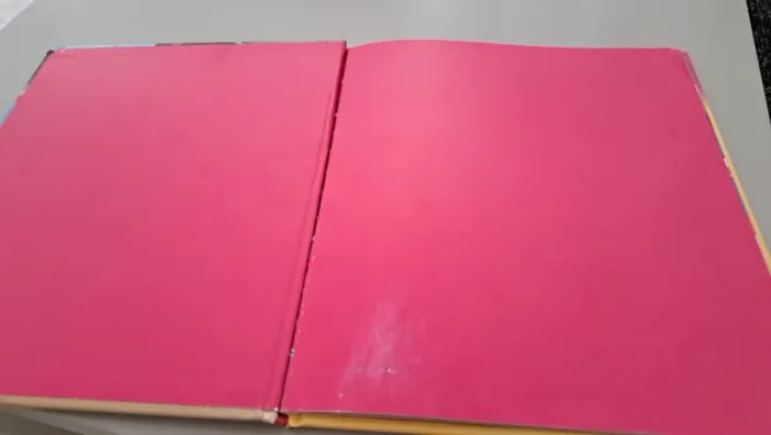 Livre" la danse" Questiins, Réponses, 4/6 ans - photo numéro 4