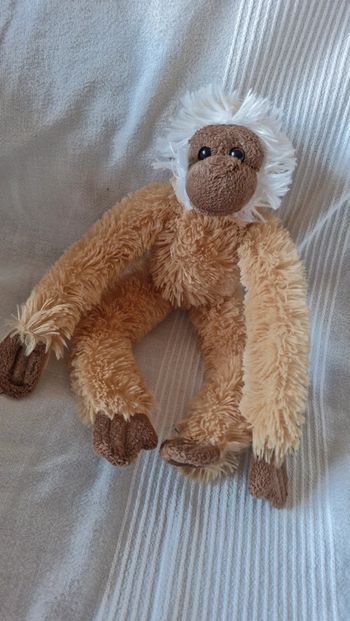 Singe paresseux Ravensden