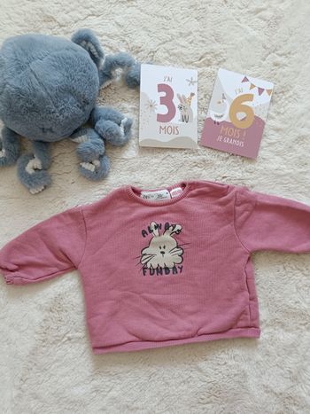 Sweat Zara 3-6 mois