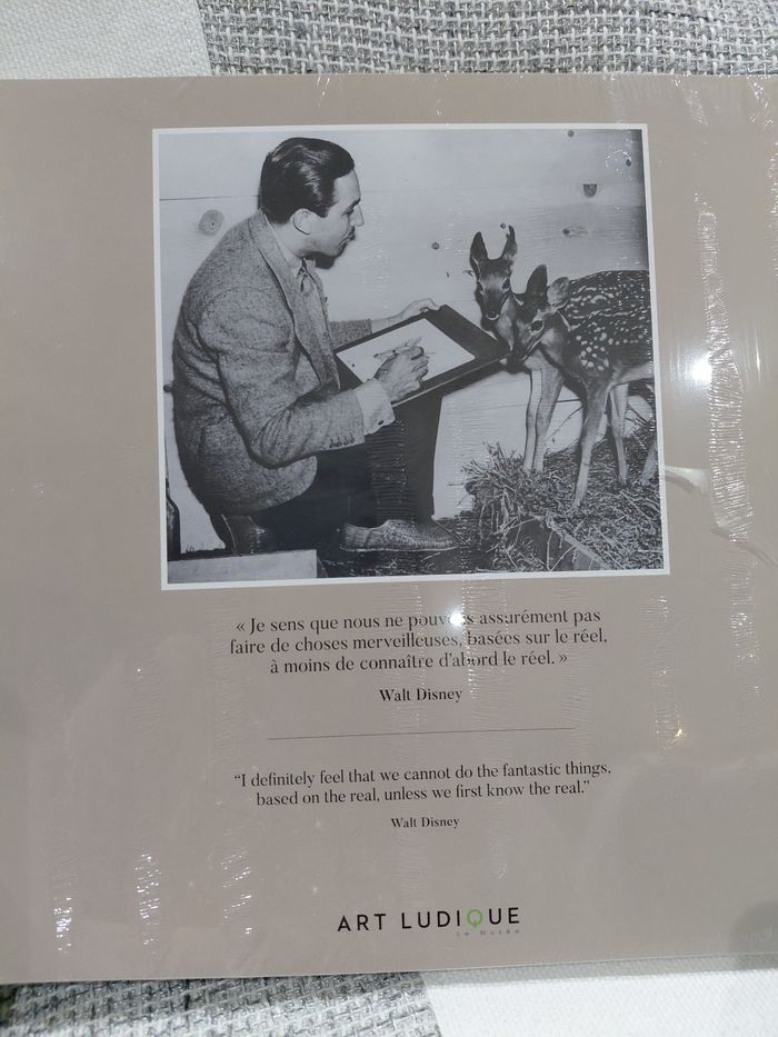 ​🎨 L'Art des Studios d'Animation Walt Disney : Le Mouvement par Nature - Format Grand (Neuf Sous Blister) 🌟 - photo numéro 7