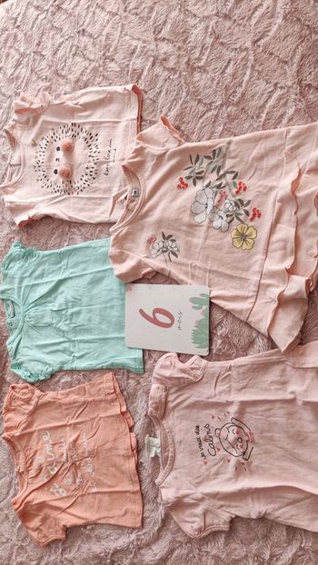 Lot tee shirt manches courtes