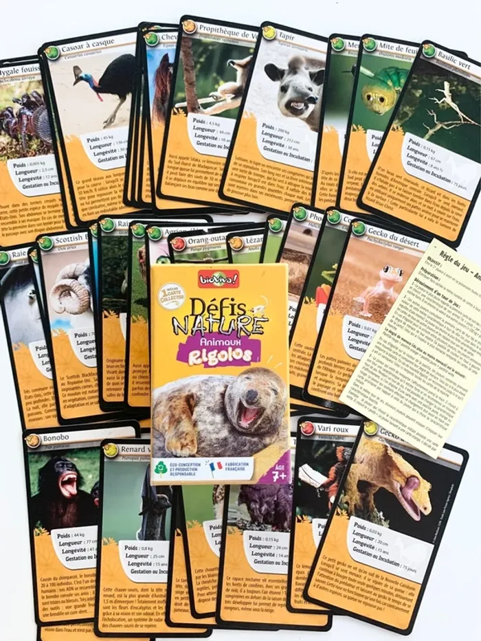 Jeu défis Nature - Animaux rigolos - photo numéro 2