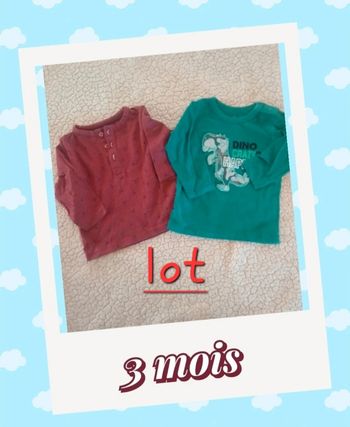 Lot tee shirt manches longues