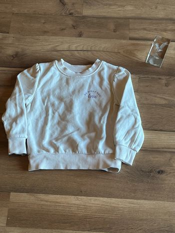 Je vend le pull fille 3 ans 90 a 97 cm tres bon