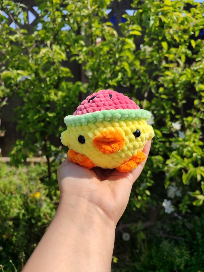 Pépino - Poussin au Chapeau-Pastèque