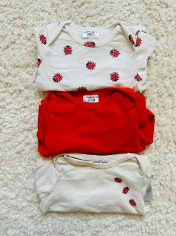 Lot de 3 bodies DIM 6 mois