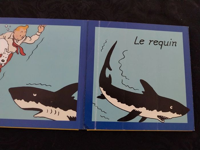 Tintin - photo numéro 6