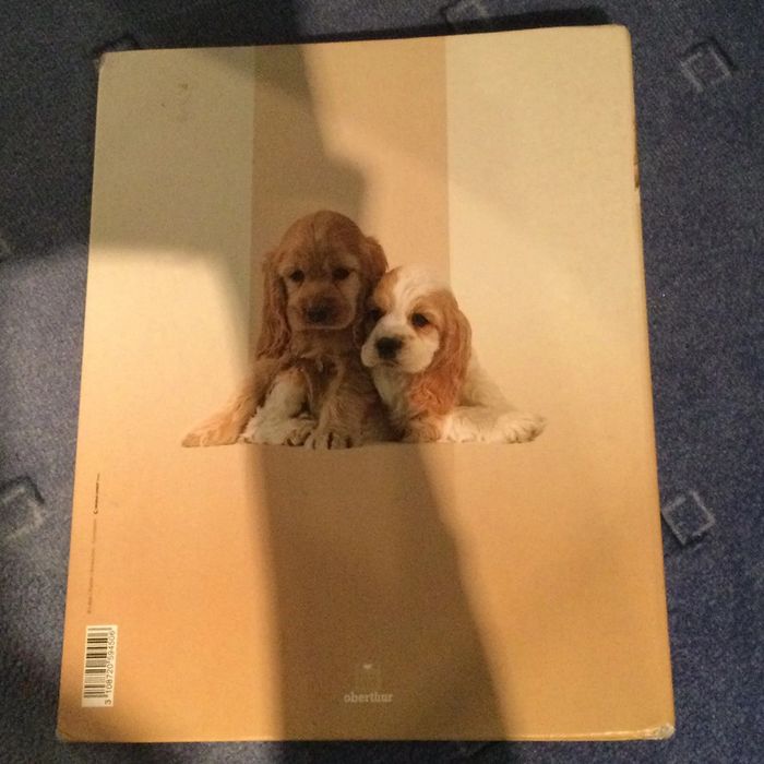 Classeur A4 chien - photo numéro 2