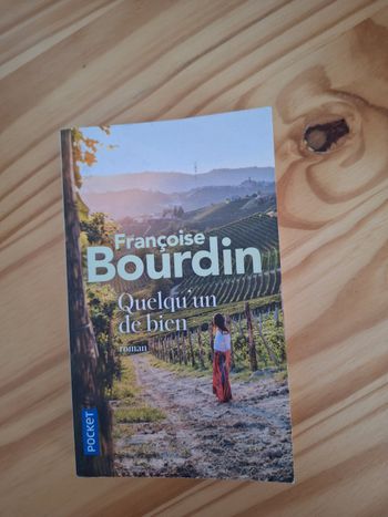 Roman Quelqu'un de bien 