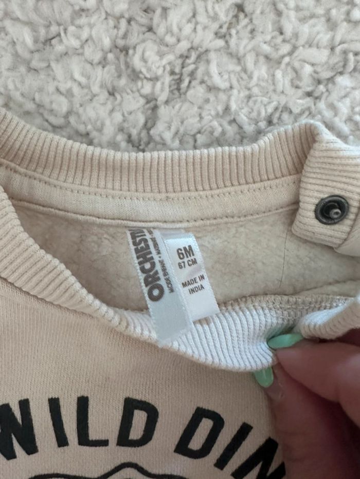 Sweat orchestra 6 mois - photo numéro 2