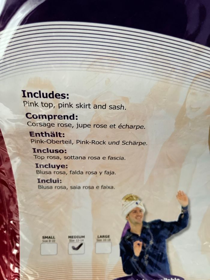 Déguisement Hindoue, Indien, Bollywood, Maharani rosé et turquoise taille L - photo numéro 4