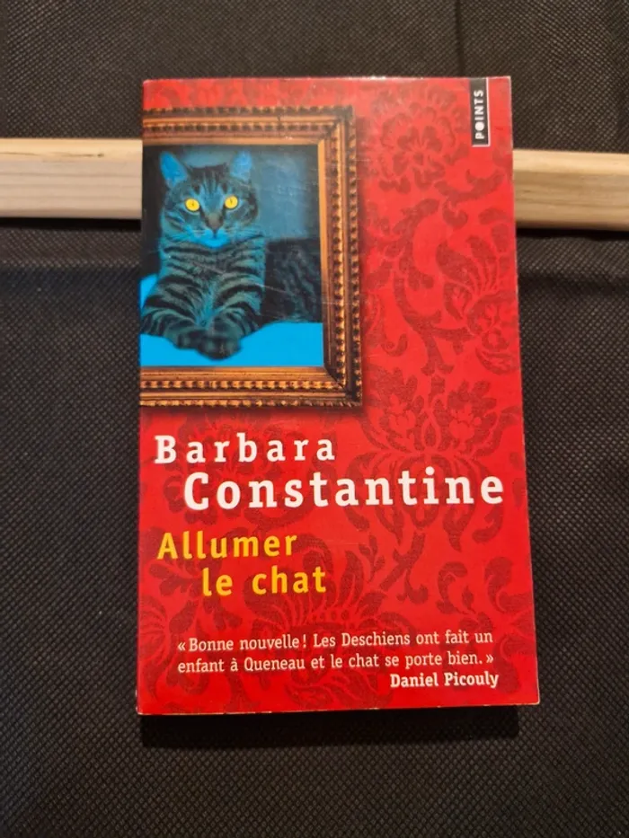 Allumer Le Chat - Barbara Constantine