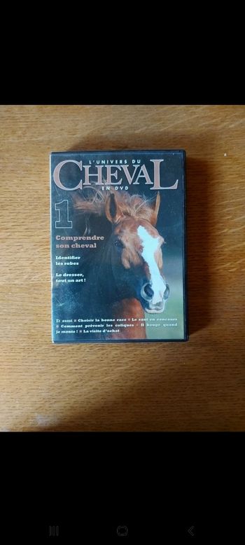 DVD