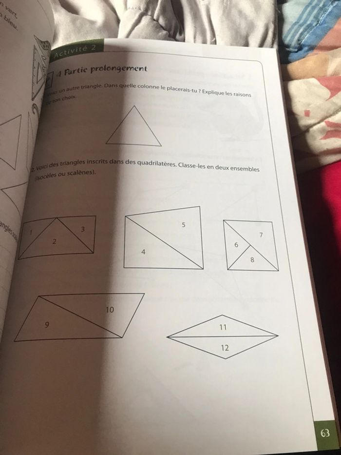 Tatou 4 math Plantyn - photo numéro 13