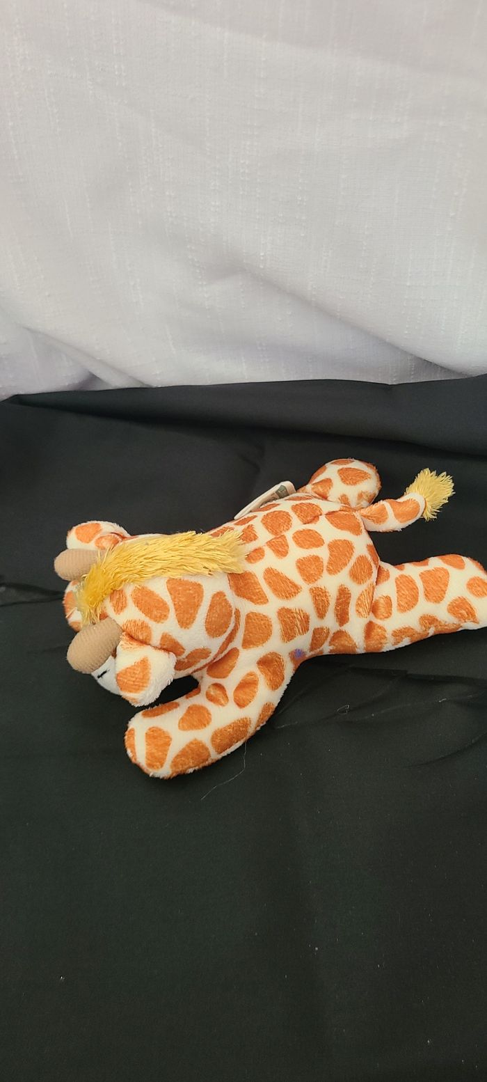 Nature planète girafe - photo numéro 2