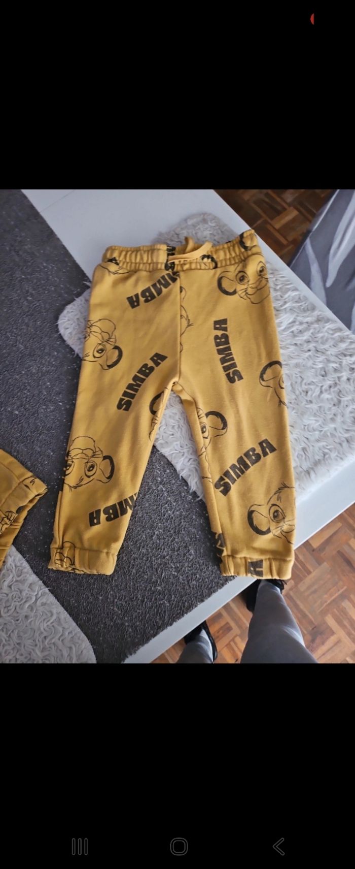 Ensemble roi lion 🦁 - photo numéro 4