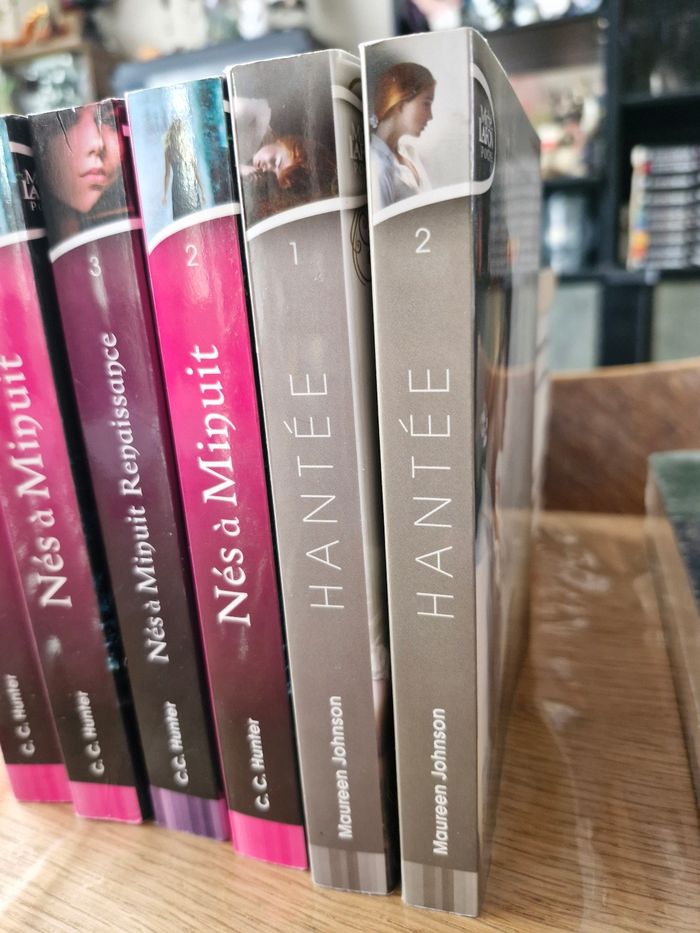 Saga Hantée de Maureen Johnson - photo numéro 4