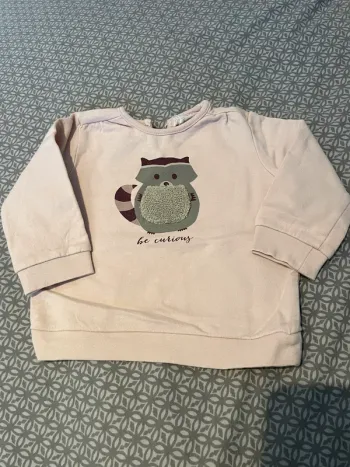 Sweat Mango