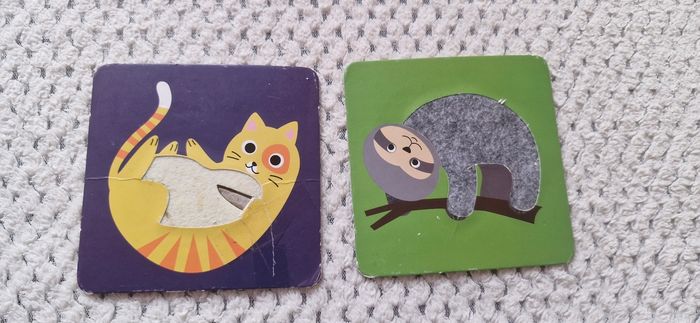 Cartes sensorielles - photo numéro 4