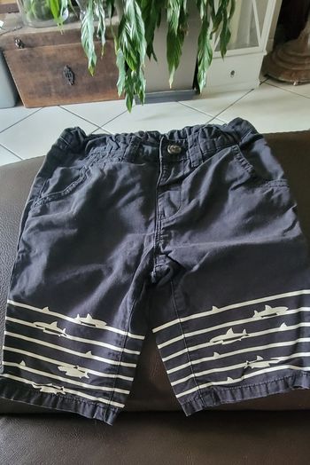 Bermuda Palomino 6 ans