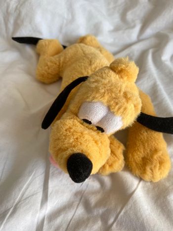 Dingo Disneyland 29 cm