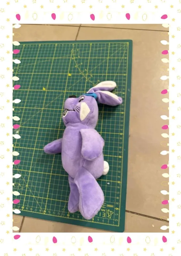 Lapin milka - photo numéro 4