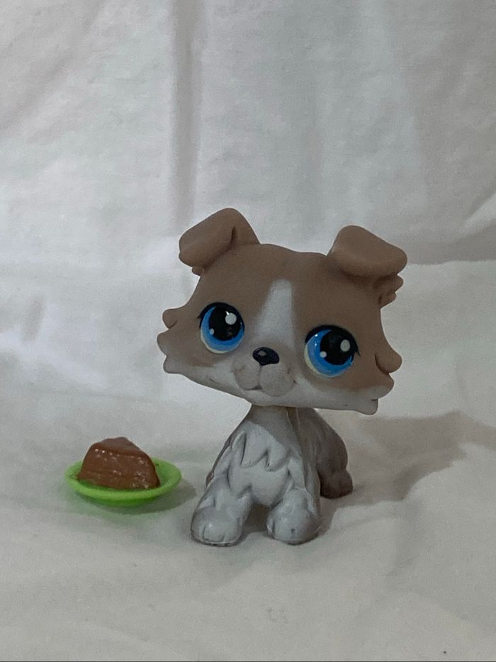 lps colley - photo numéro 3