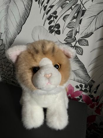 Peluche chat