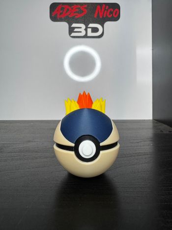 Pokeball Hericendre