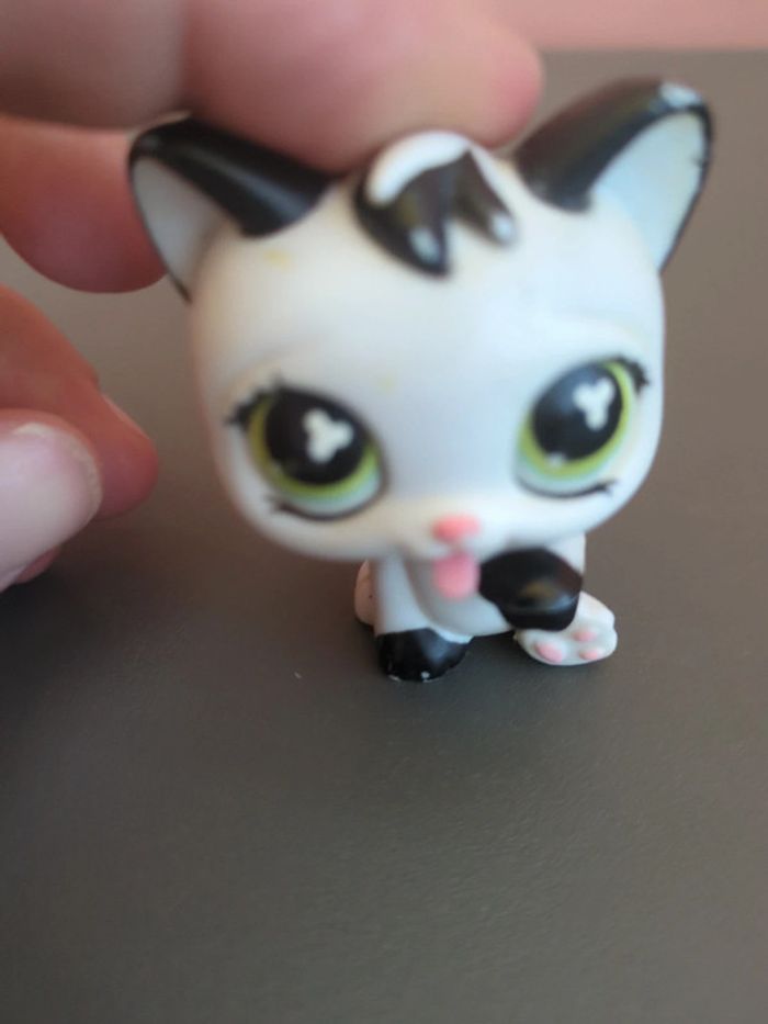 littlest petshop chat - photo numéro 2
