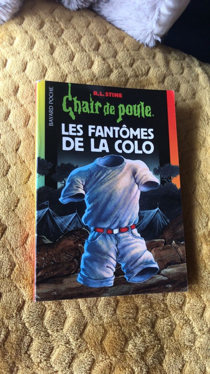 Livre collection chair de poule