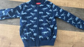 Gilet dinosaure 