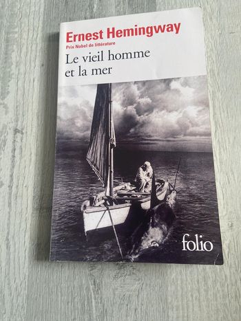 Livre le vieil homme et la mer