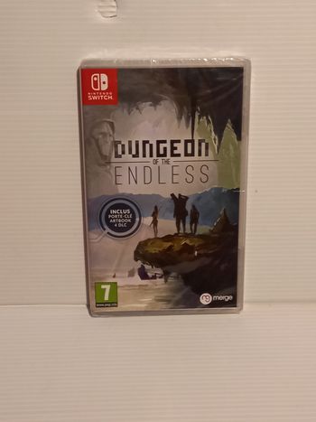 Switch dungeon endless