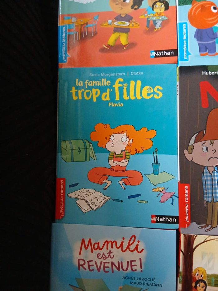 Livres apprentissage lecture - photo numéro 8