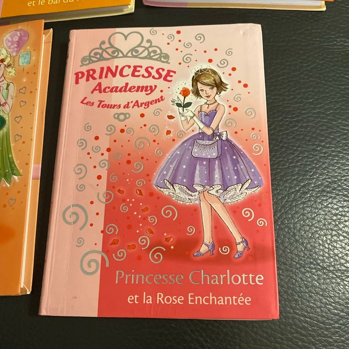 5 livres princesse academy - photo numéro 6