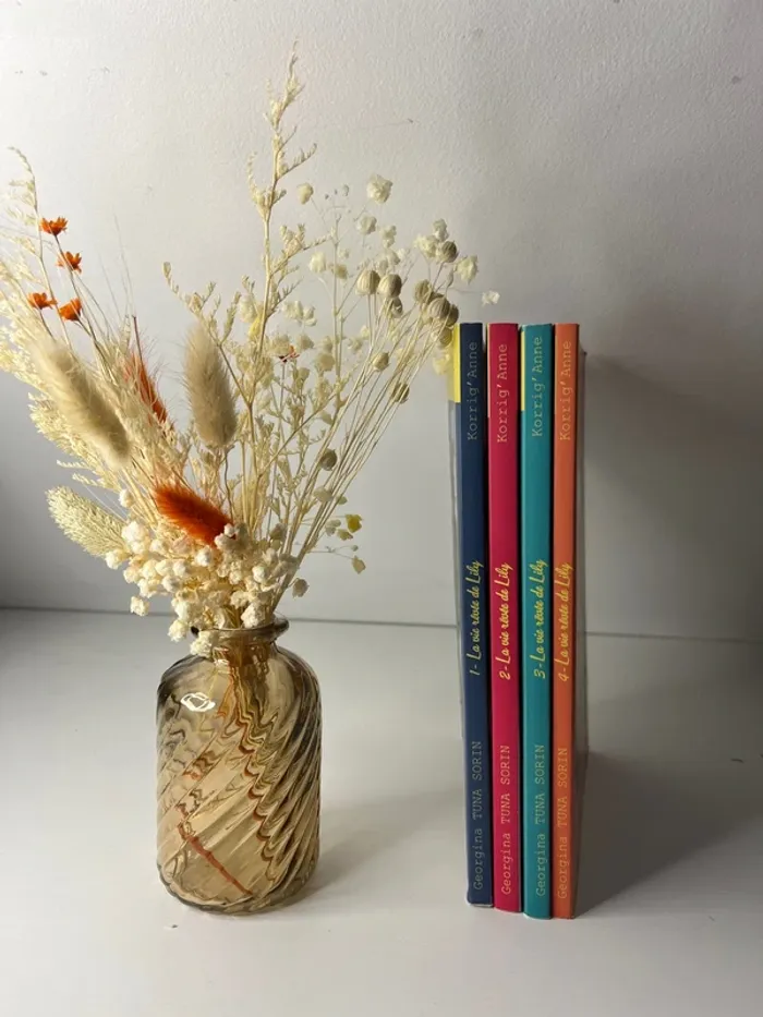La vie rêvée de Lily